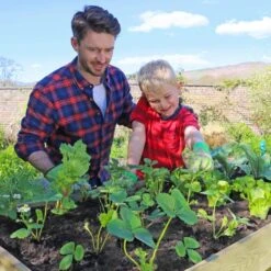 Veg Bed Planter 2m -Tower Garden Outlet Store 30601451 alt05