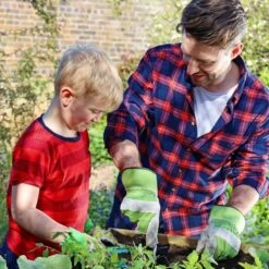 Veg Bed Planter 2m -Tower Garden Outlet Store 30601451 alt06