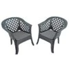 Savona Set Of 2 Anthracite Chairs
