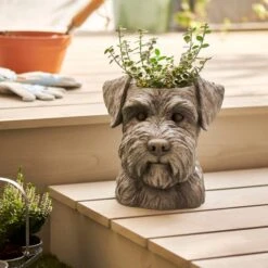 Schnauzer Head Plant Pot