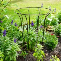 Outdoor Fluted Plant Support Climber 12 Outdoor Fluted Plant Support Climber -Tower Garden Outlet Store 30849541