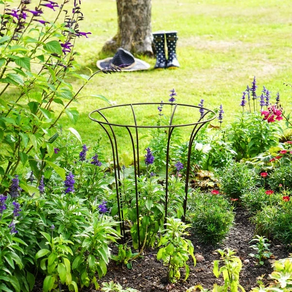 Outdoor Fluted Plant Support Climber 8 Outdoor Fluted Plant Support Climber - Image 8