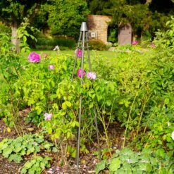 Outdoor Plant Support Tripod Climber 25 Outdoor Plant Support Tripod Climber -Tower Garden Outlet Store 30849542 alt06