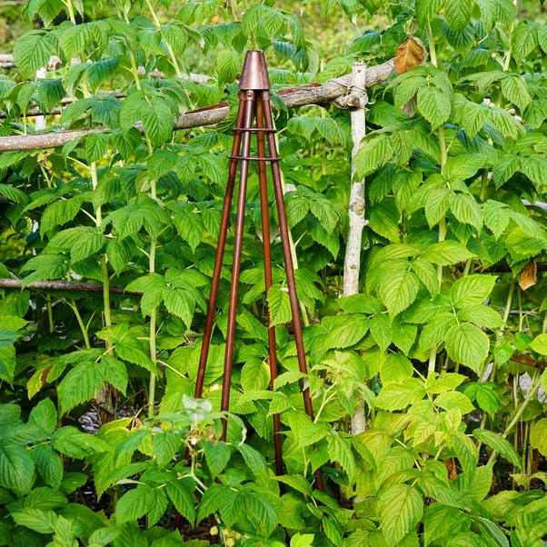Outdoor Plant Support Tripod Climber 1 Outdoor Plant Support Tripod Climber