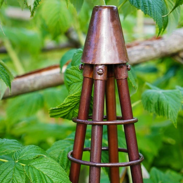 Outdoor Plant Support Tripod Climber 2 Outdoor Plant Support Tripod Climber - Image 2