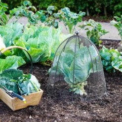 Outdoor Wired Plant Protector -Tower Garden Outlet Store 30849544