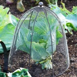 Outdoor Wired Plant Protector -Tower Garden Outlet Store 30849544 alt01