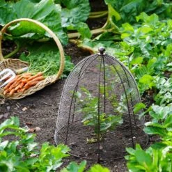 Outdoor Wired Plant Protector -Tower Garden Outlet Store 30849545