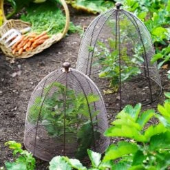 Outdoor Wired Plant Protector -Tower Garden Outlet Store 30849545 alt01