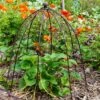 Outdoor Wire Netted Plant Protector