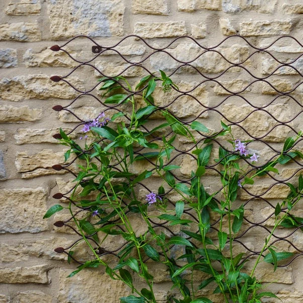 Outdoor Honeycomb Trellis 1 Outdoor Honeycomb Trellis
