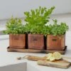 Set Of 3 Herb Hampton Outdoor Planters With Tray