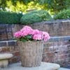 Polyrattan Lined Basket Plant Pot