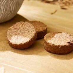 Taylor's Bulbs Stone Robin Plant Pot And Anenone Kit -Tower Garden Outlet Store 30866045 alt02