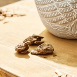 Taylor's Bulbs Stone Robin Plant Pot And Anenone Kit -Tower Garden Outlet Store 30866045 alt04