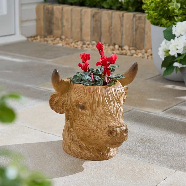 Highland Cow Head Plant Pot 1 Highland Cow Head Plant Pot