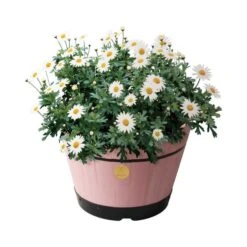 VegTrug Medium Build A Barrel Kit 14 VegTrug Medium Build A Barrel Kit -Tower Garden Outlet Store 30890294