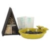 Fallen Fruits Complete Insects Kit