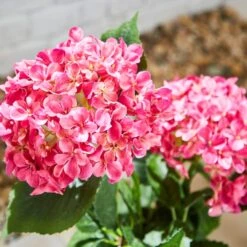 Artificial Hydrangea In Plant Pot -Tower Garden Outlet Store 30925749 alt01