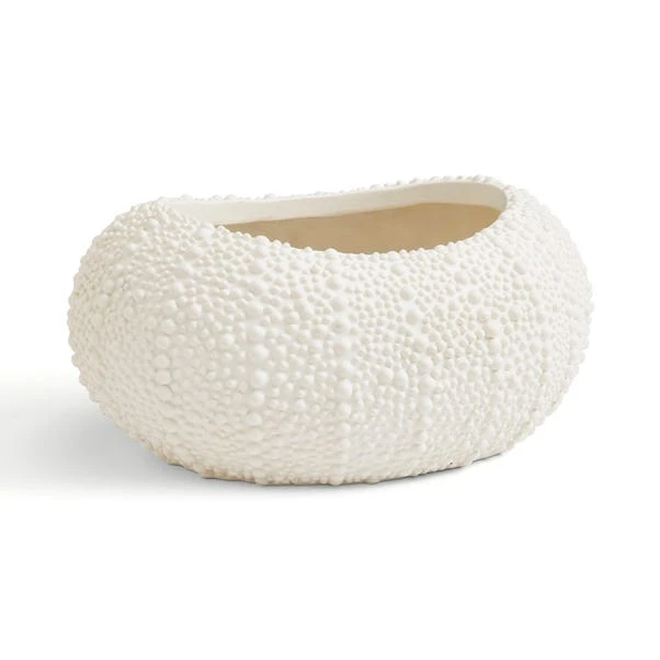Sea Urchin Plant Pot 3 Sea Urchin Plant Pot - Image 3