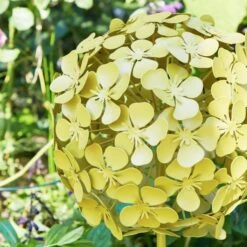 Sophie Robinson Giant Allium Garden Stake 13 Sophie Robinson Giant Allium Garden Stake -Tower Garden Outlet Store 30933368 alt01