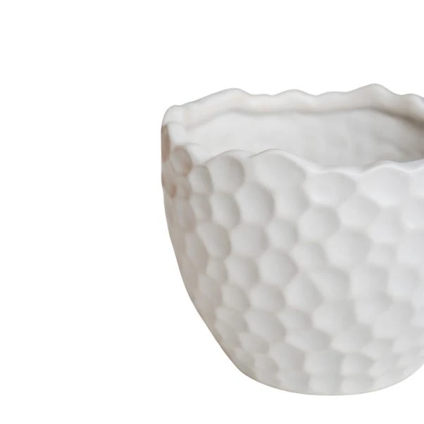 Kew Botanical White Textured Plant Pot 3 Kew Botanical White Textured Plant Pot - Image 3