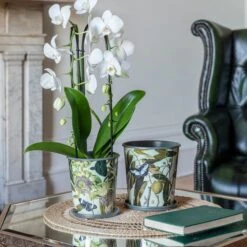 Kew Botanical Retreat Planter With Saucer 4 Kew Botanical Retreat Planter With Saucer -Tower Garden Outlet Store 30937024 alt01