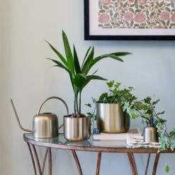 Kew Matt Brass Watering Can 19cm -Tower Garden Outlet Store 30937031 alt03