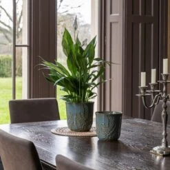 Kew Embossed Fern Plant Pot -Tower Garden Outlet Store 30937046 alt02