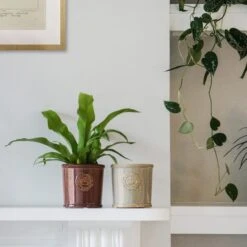 Kew Reactive Glaze Plant Pot -Tower Garden Outlet Store 30937048