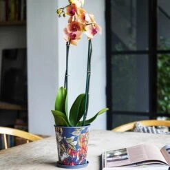 Kew Temperate House Planter With Saucer -Tower Garden Outlet Store 30937058