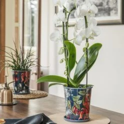 Kew Temperate House Planter With Saucer -Tower Garden Outlet Store 30937058 alt01