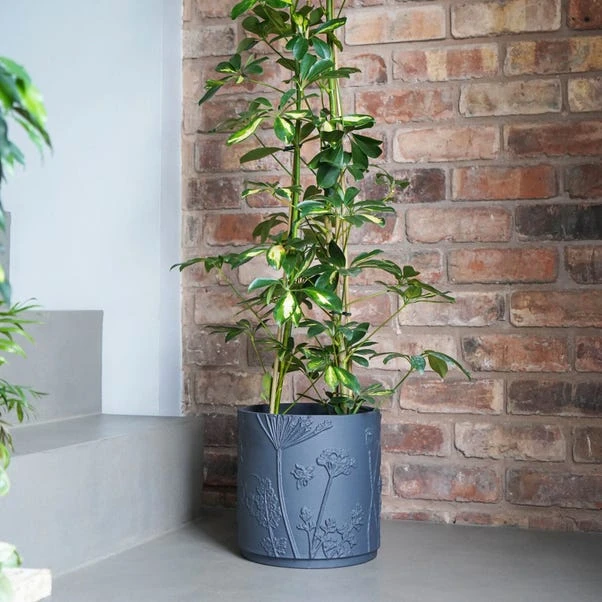 Kew Stoneware Meadow Plant Pot 1 Kew Stoneware Meadow Plant Pot