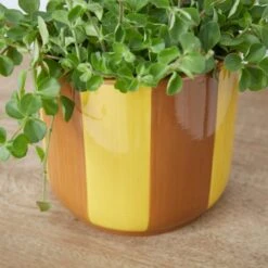 Elements Striped Ceramic Plant Pot -Tower Garden Outlet Store 30943035 alt01