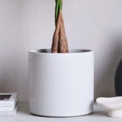 Capri Plant Pot -Tower Garden Outlet Store 30971619 alt01