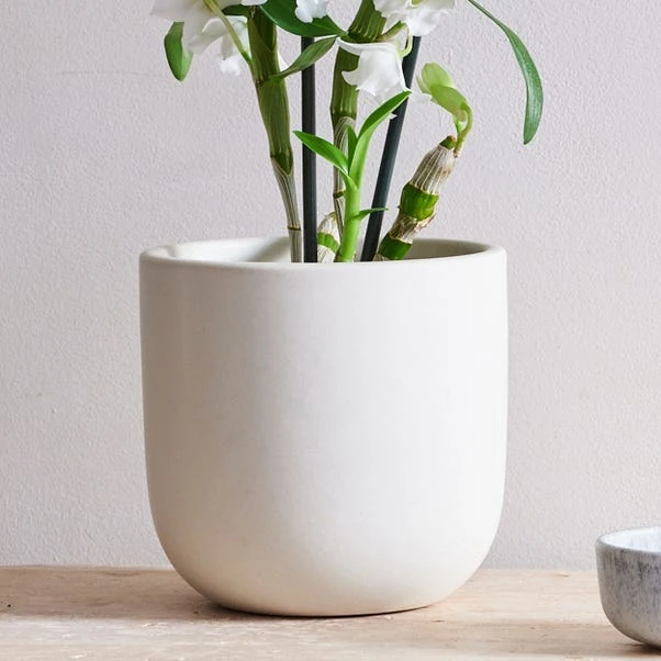 Earthenware Plant Pot 8 Earthenware Plant Pot - Image 8