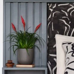 Earthenware Plant Pot 33 Earthenware Plant Pot -Tower Garden Outlet Store 30971658