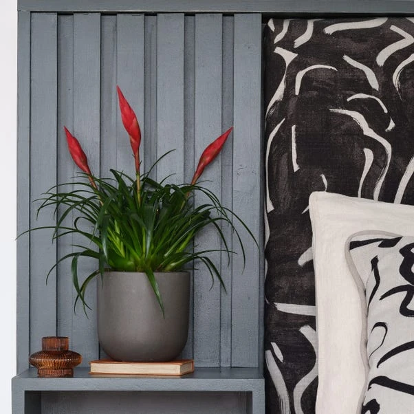 Earthenware Plant Pot 14 Earthenware Plant Pot - Image 14