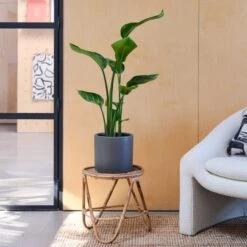 Earthenware Plant Pot 24 Earthenware Plant Pot -Tower Garden Outlet Store 30971659