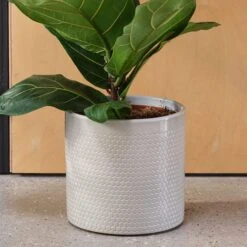 Capri Plant Pot -Tower Garden Outlet Store 30971666 alt01