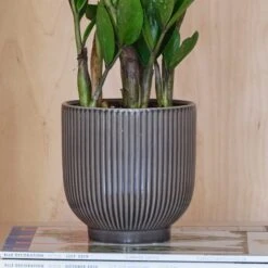 Ribbed Ceramic Plant Pot 13 Ribbed Ceramic Plant Pot -Tower Garden Outlet Store 30971668 alt01