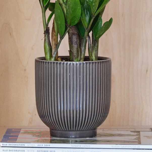Ribbed Ceramic Plant Pot 6 Ribbed Ceramic Plant Pot - Image 6