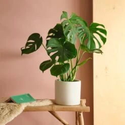 Earthenware Plant Pot 22 Earthenware Plant Pot -Tower Garden Outlet Store 30971673