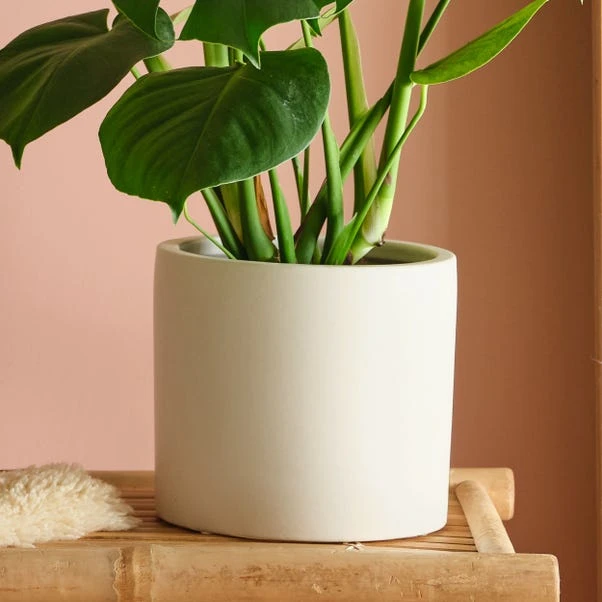 Earthenware Plant Pot 4 Earthenware Plant Pot - Image 4