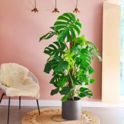 Earthenware Plant Pot 30 Earthenware Plant Pot -Tower Garden Outlet Store 30971675