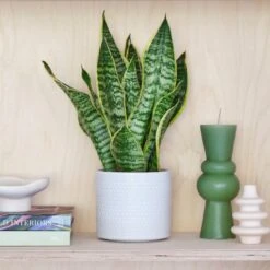 Capri Plant Pot -Tower Garden Outlet Store 30971682