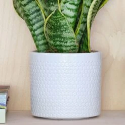 Capri Plant Pot -Tower Garden Outlet Store 30971682 alt01