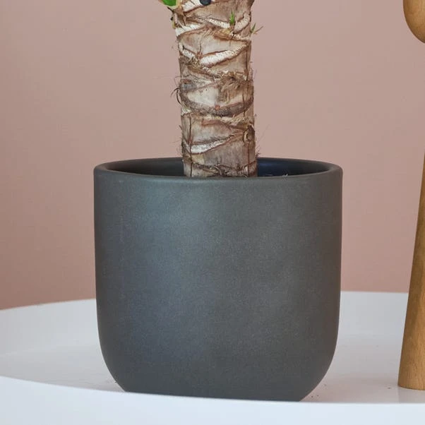 Earthenware Plant Pot 2 Earthenware Plant Pot - Image 2