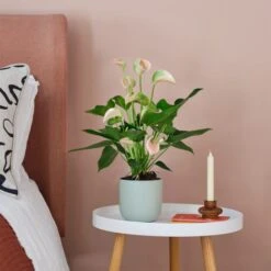 Earthenware Plant Pot 28 Earthenware Plant Pot -Tower Garden Outlet Store 30971684