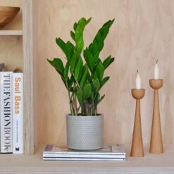 Capri Plant Pot -Tower Garden Outlet Store 30971685